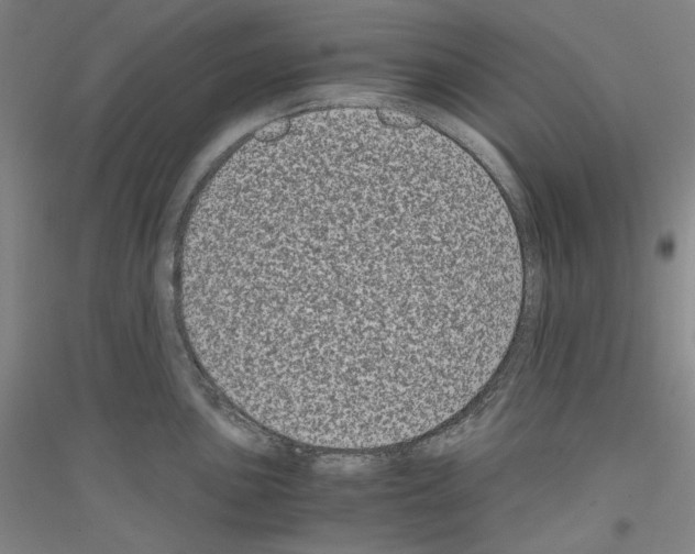 X0000116781051201001281117