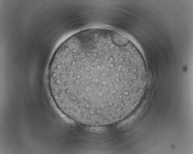 X0000116781053201001281117