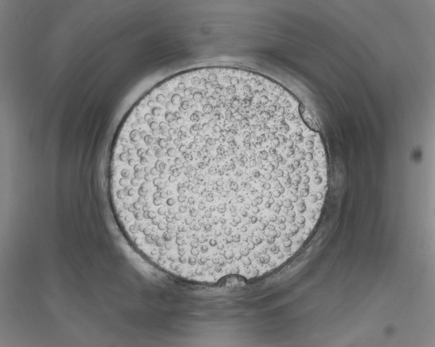 X0000116781054201001281117