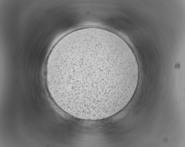 X0000116781056201001281117