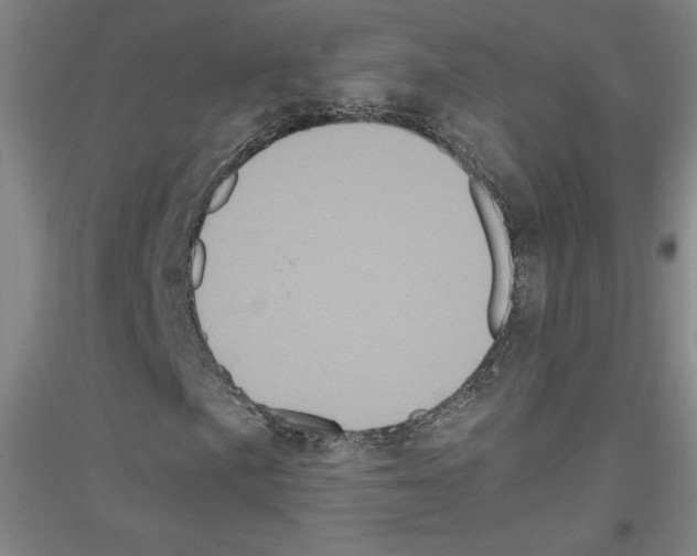 X0000116781057201001281117