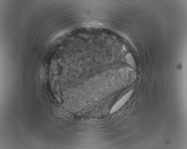 X0000116781063201001281117