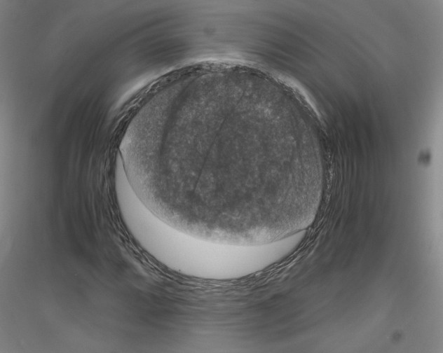 X0000116781064201001281117