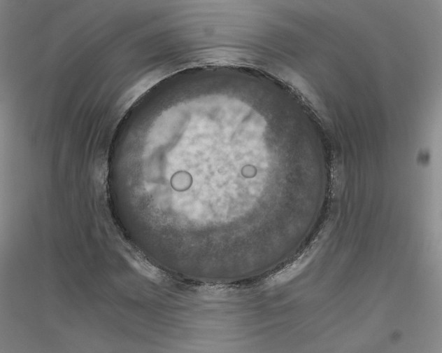 X0000116781065201001281117