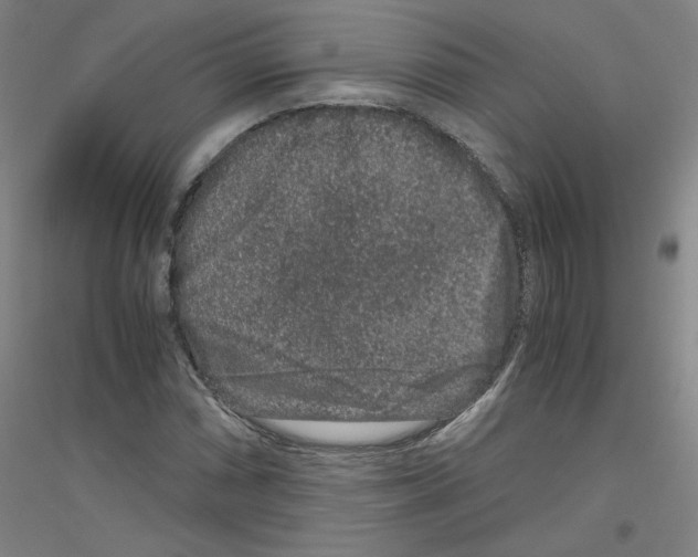 X0000116781066201001281117