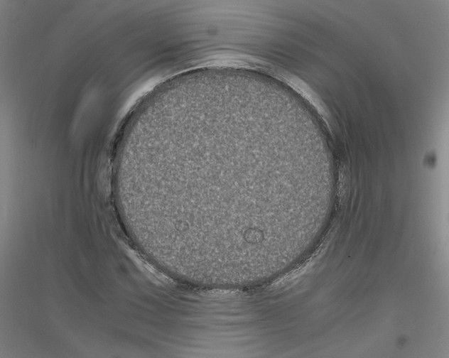 X0000116781067201001281117