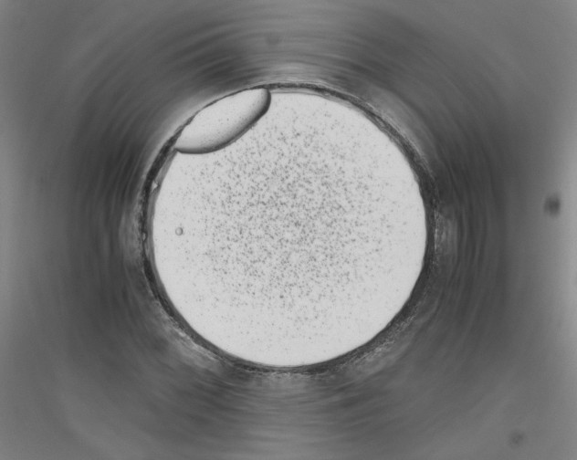 X0000116781068201001281117