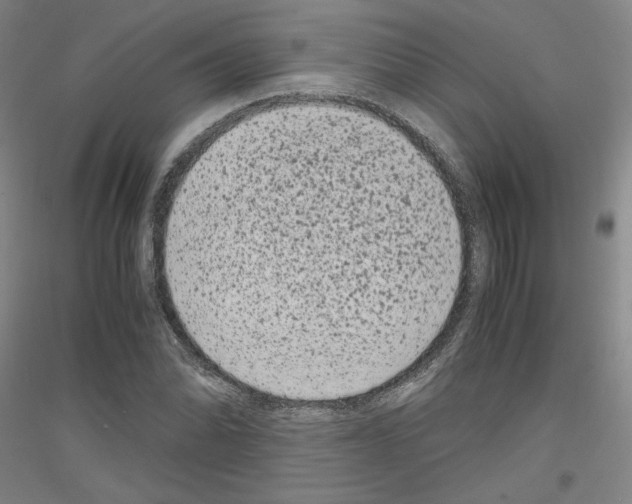 X0000116781070201001281117