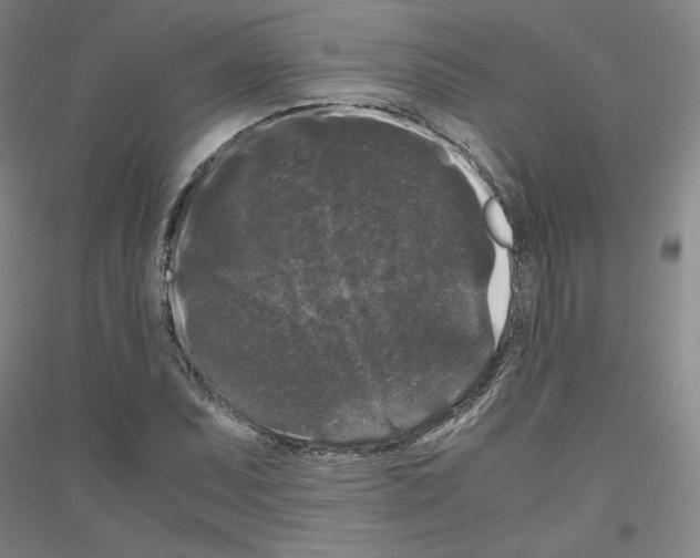 X0000116781071201001281117