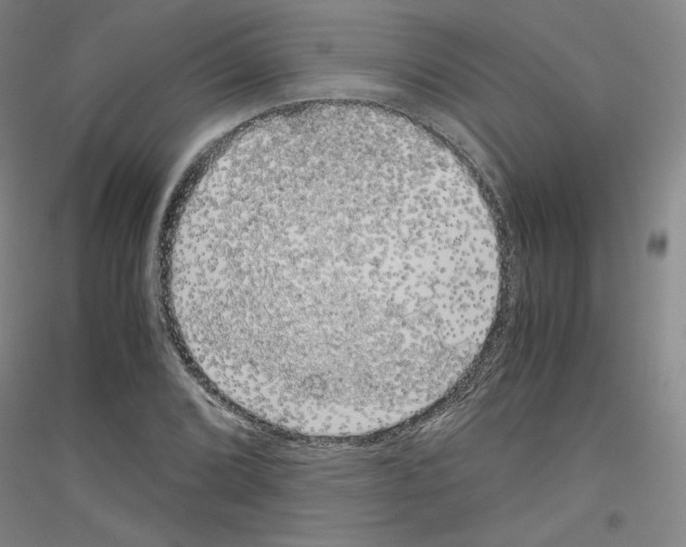 X0000116781072201001281117