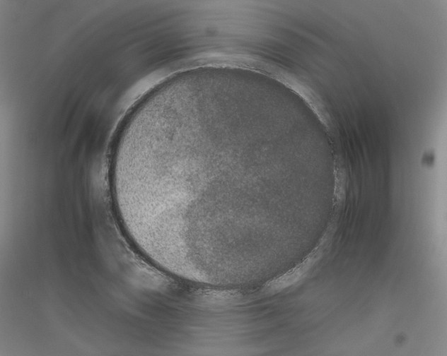 X0000116781074201001281117