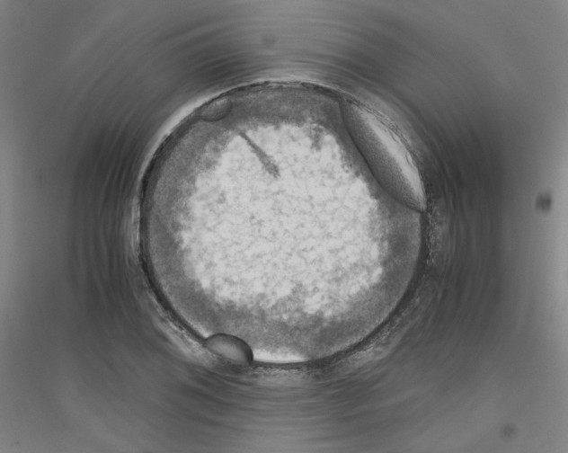 X0000116781076201001281117