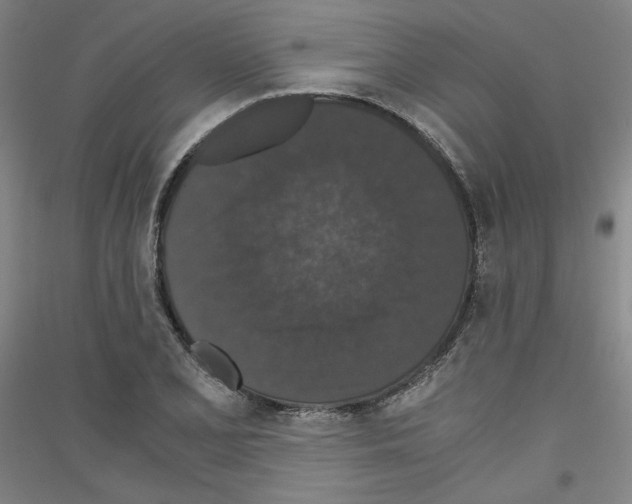 X0000116781077201001281116