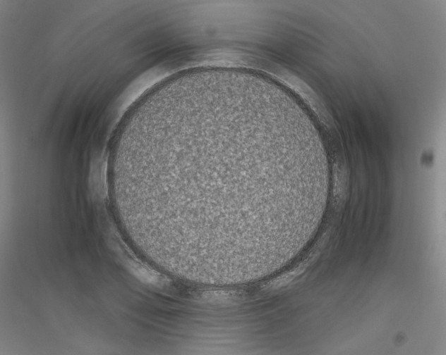 X0000116781078201001281116