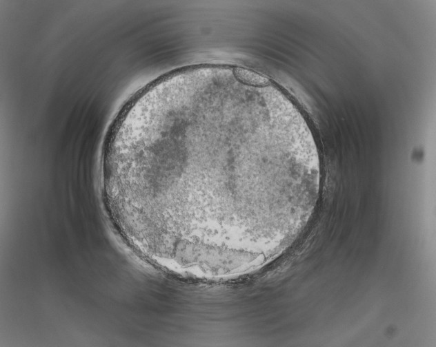 X0000116781080201001281116