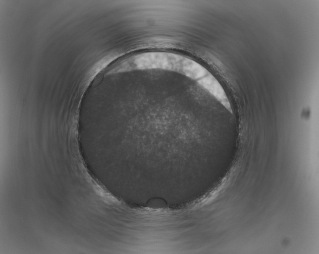 X0000116781081201001281116