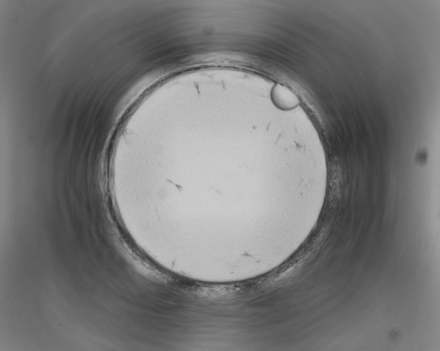 X0000116781082201001281116