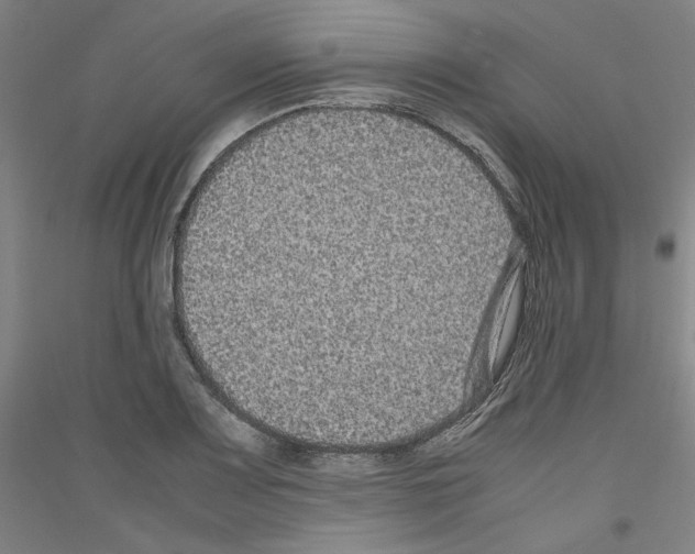 X0000116781083201001281116