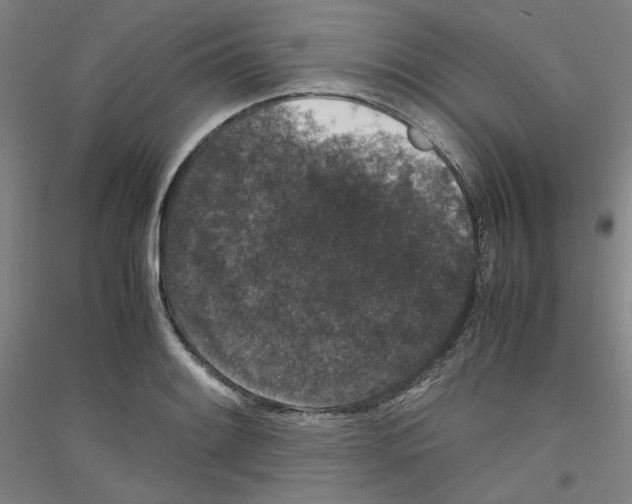 X0000116781084201001281116