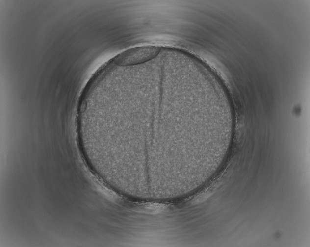 X0000116781085201001281116