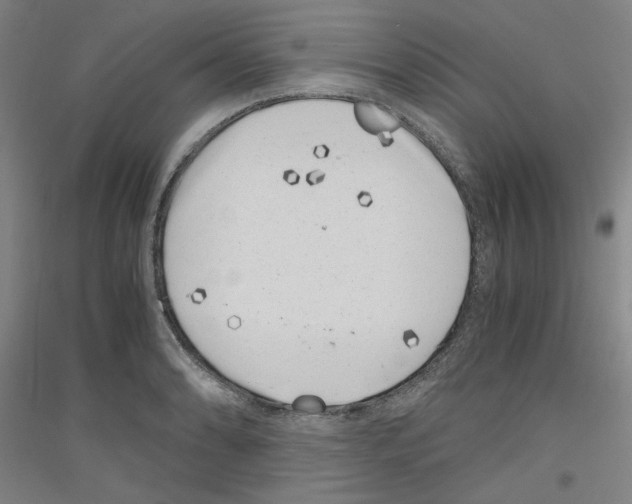 X0000116781086201001281116