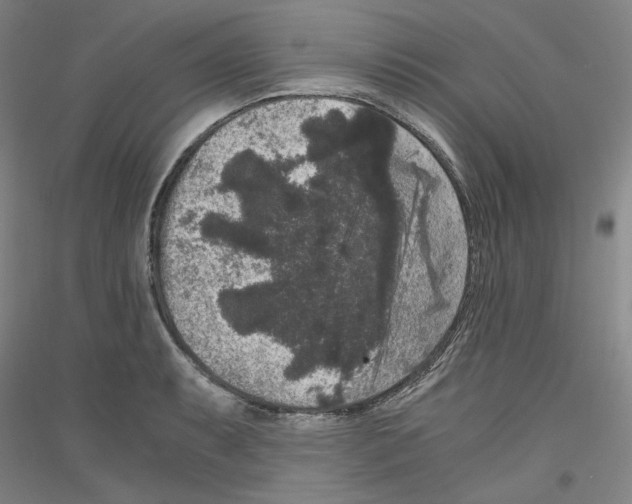 X0000116781087201001281116