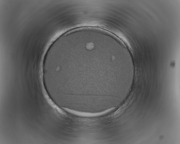 X0000116781088201001281116