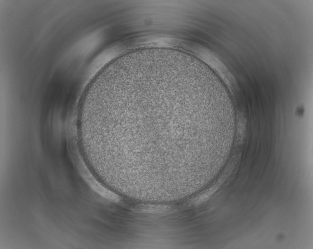 X0000116781090201001281116