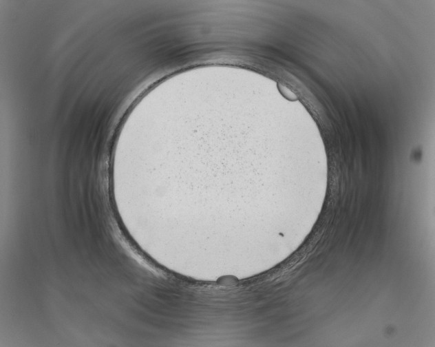 X0000116781092201001281116