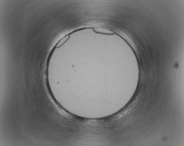 X0000116781093201001281116