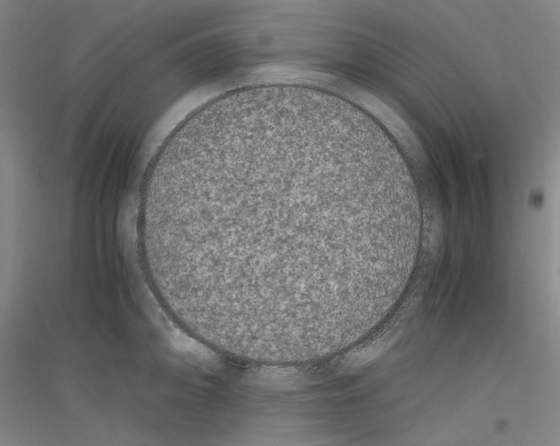 X0000116781094201001281116