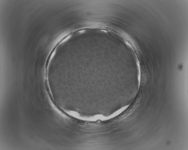 X0000116781095201001281116