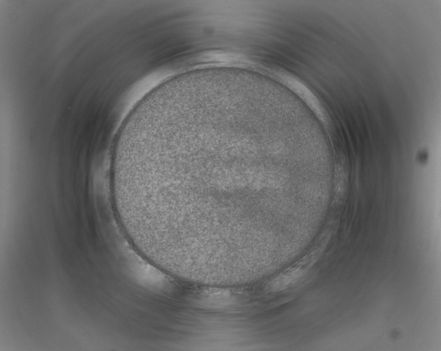 X0000116781098201001281116