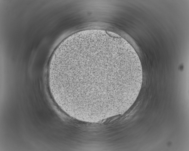 X0000116781099201001281116