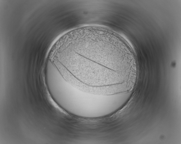 X0000116781100201001281116