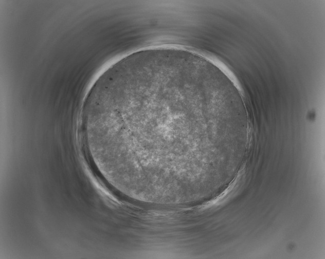 X0000116781101201001281116