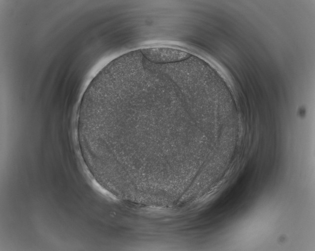 X0000116781102201001281116