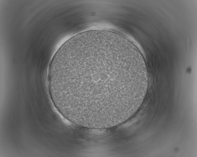 X0000116781103201001281116