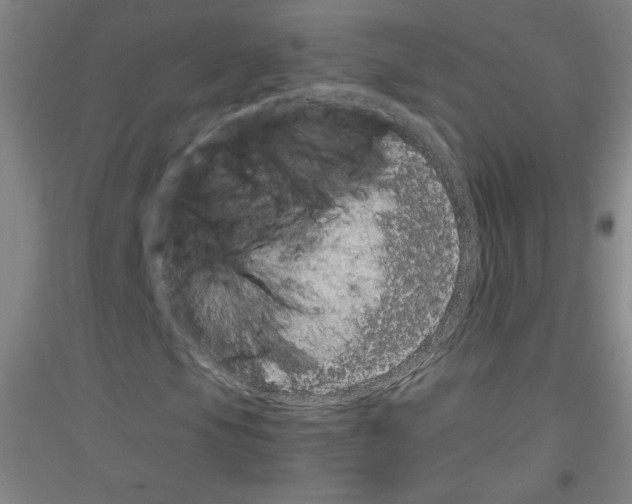 X0000116781105201001281115