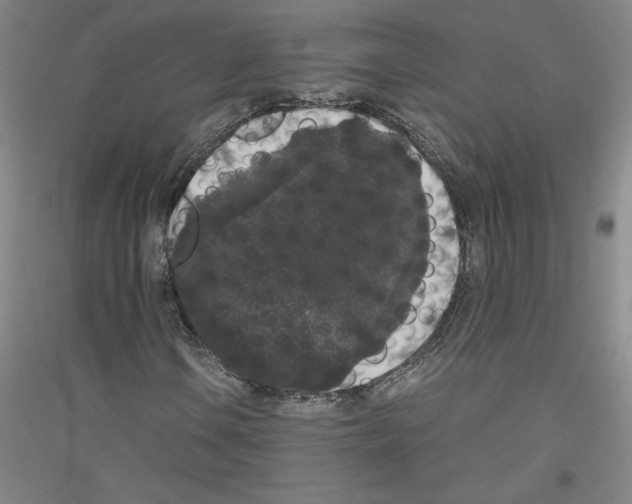 X0000116781106201001281115