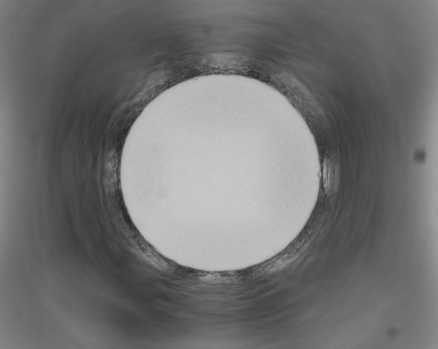 X0000116781107201001281116