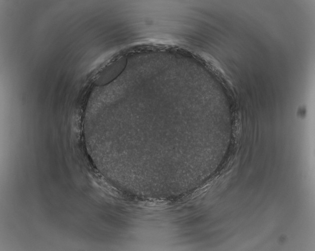 X0000116781110201001281116