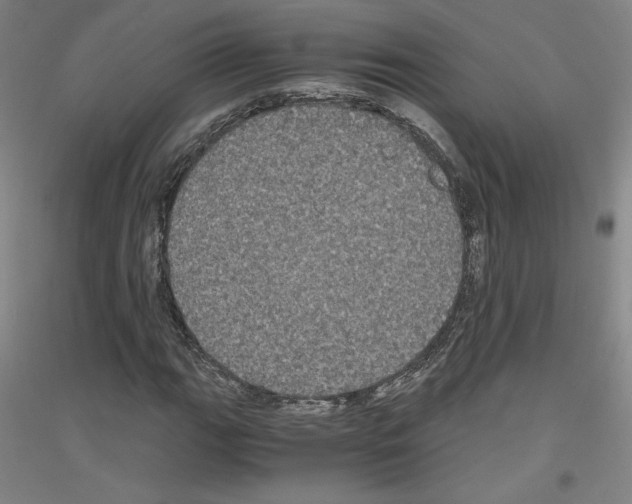 X0000116781111201001281116