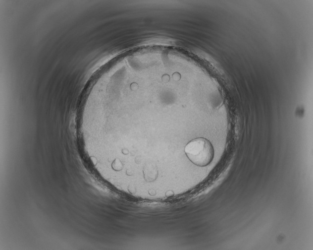 X0000116781113201001281116