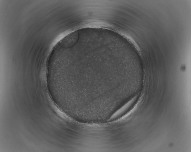 X0000116781114201001281116