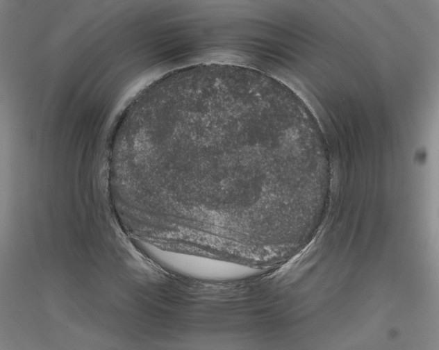 X0000116781115201001281116