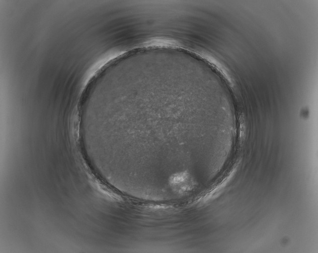 X0000116781117201001281116