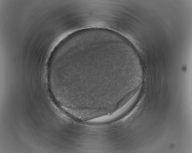 X0000116781118201001281116