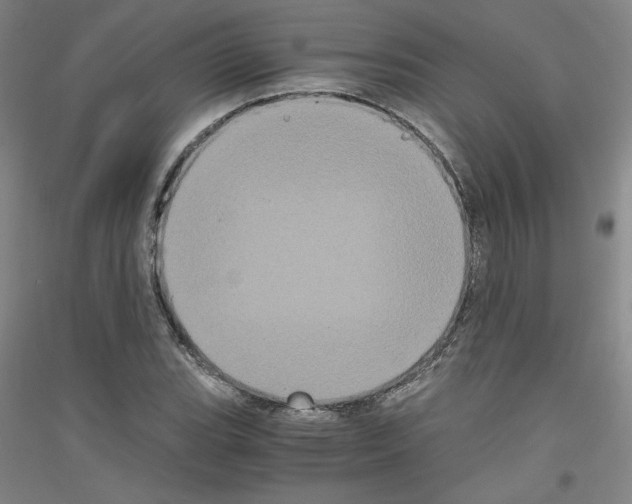 X0000116781119201001281116