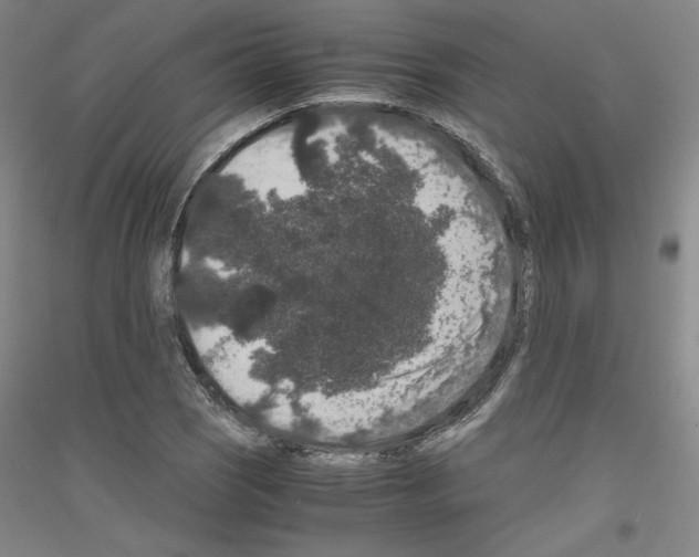 X0000116781121201001281116